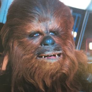 Meet your Posher, Benjamin